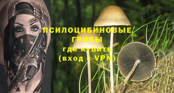 дурь Абинск