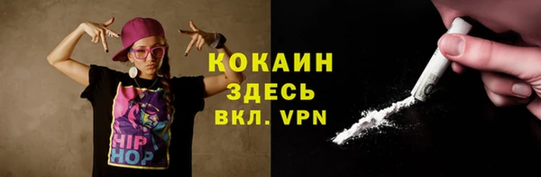 ПСИЛОЦИБИНОВЫЕ ГРИБЫ Абаза