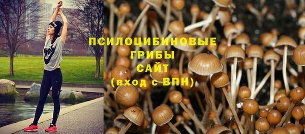 ГАЛЛЮЦИНОГЕННЫЕ ГРИБЫ Абдулино