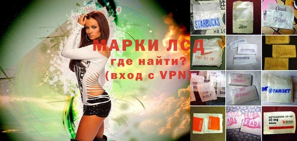 ПСИЛОЦИБИНОВЫЕ ГРИБЫ Абаза