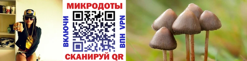 наркошоп  Елабуга  Псилоцибиновые грибы мухоморы 
