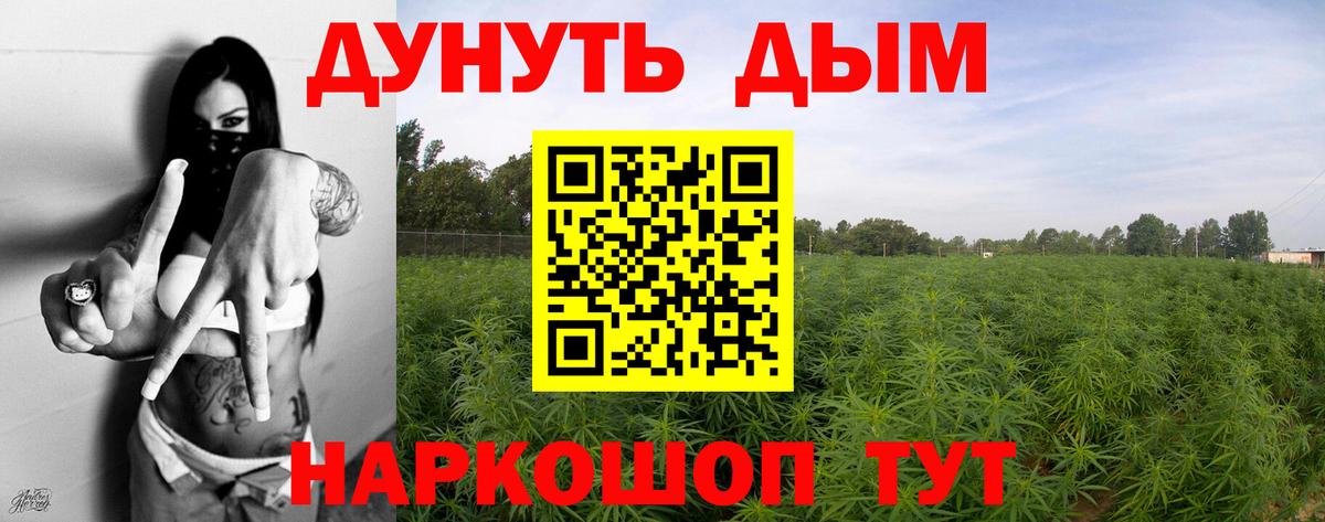 Канабис OG Kush Елабуга